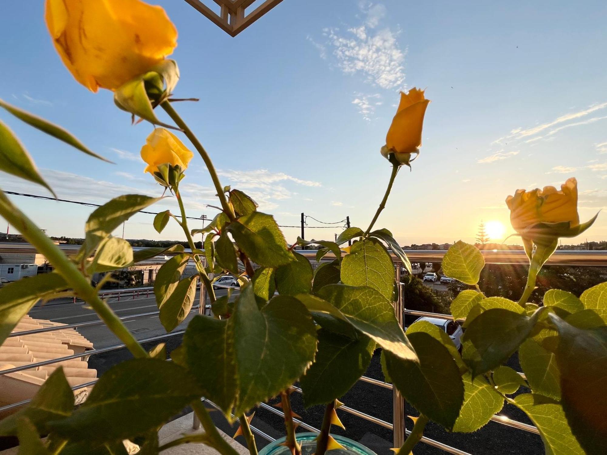 Corfu Airport Sweet Studio Luaran gambar